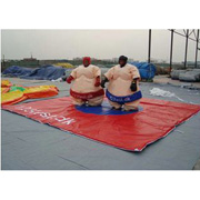 giant inflatable karate sports games
